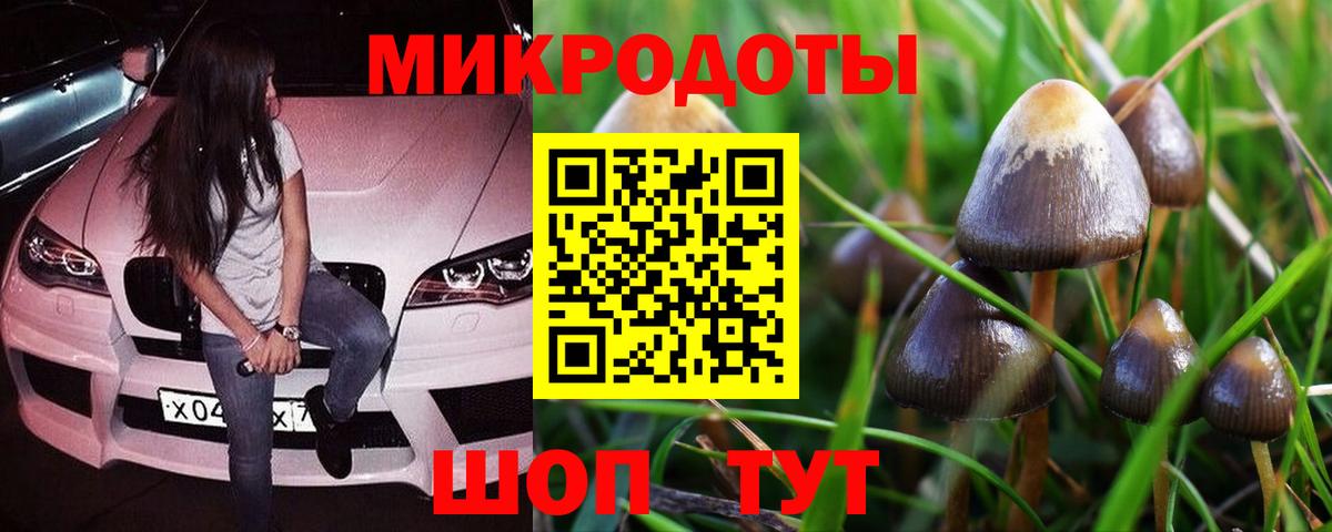 Галлюциногенные грибы Cubensis Набережные Челны