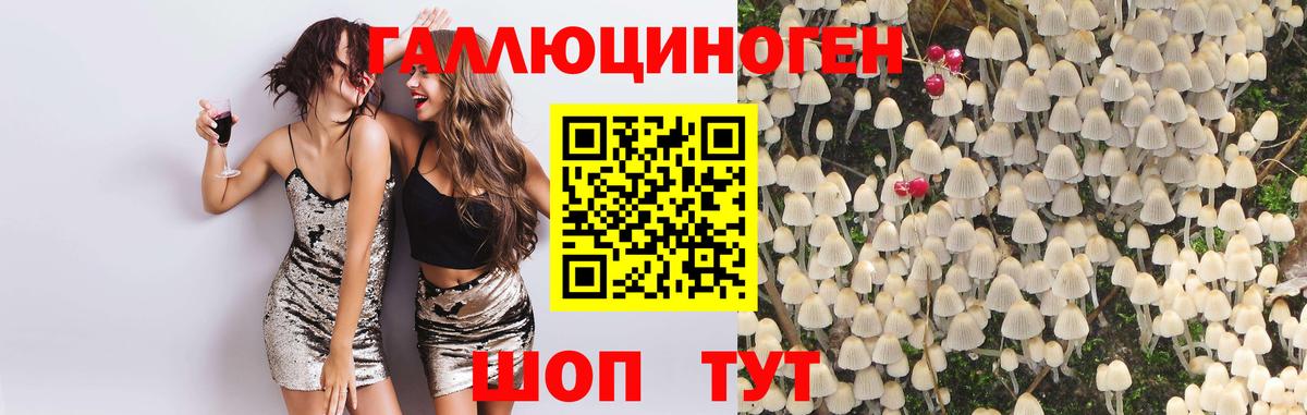 Галлюциногенные грибы мухоморы  Вход с VPN  Набережные Челны 